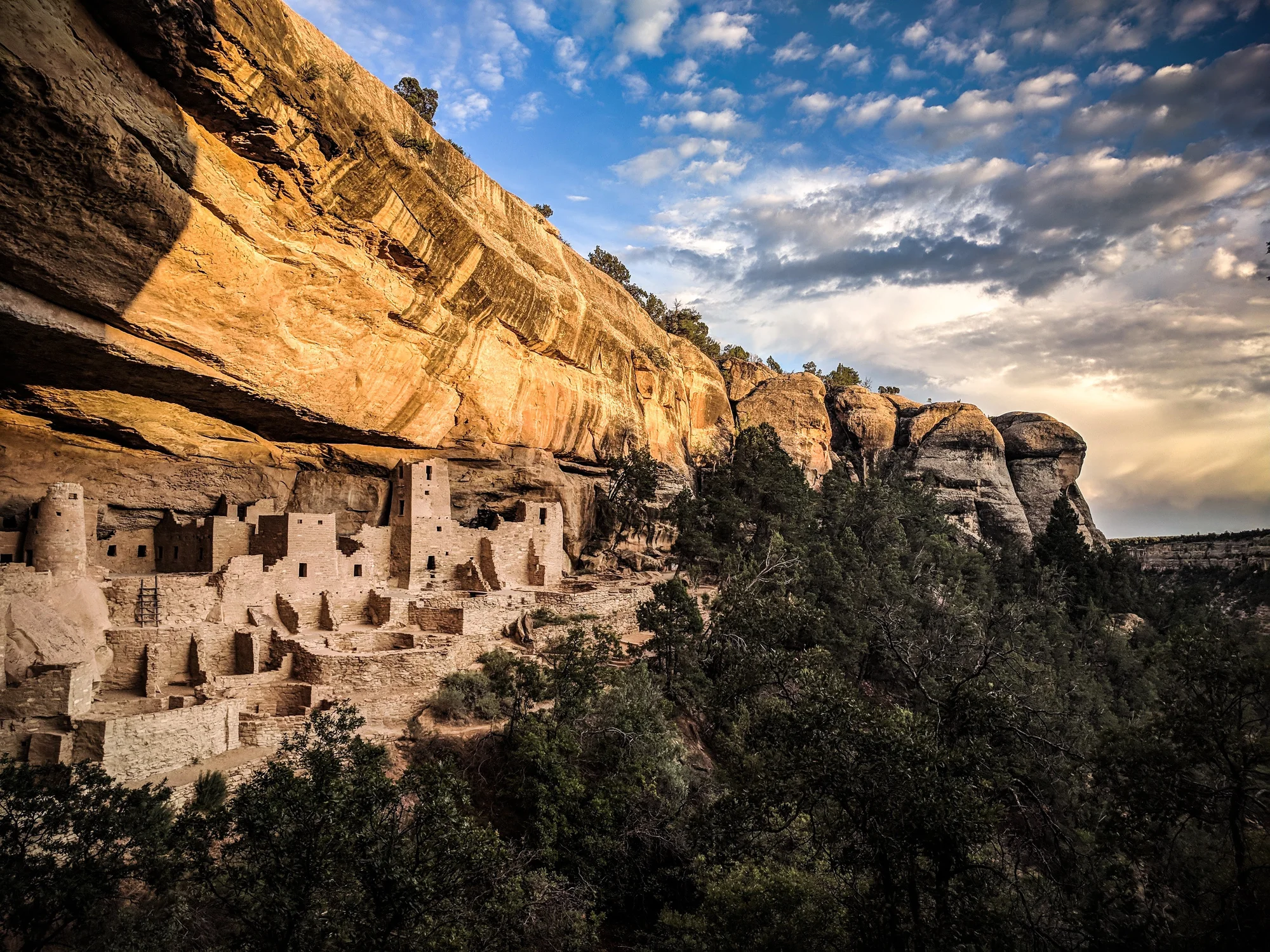 A picturesque landscape with forest in the foreground, and a view of Mesa Verde's ancient cliff dwellings carved into the side of a mountain in the middle of the photo. A cloudy sky is above.