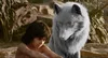 Lead VFX studio on Disney's The Jungle Book, MPC artists built a complex photo-real world 