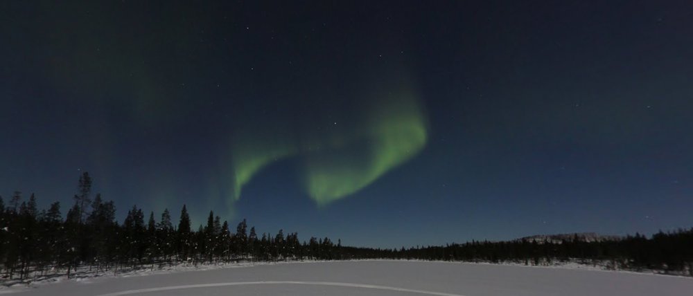 Image showing a clearing in a snowy forest at night. Above the tree line, the Northern Lights are glowing green.