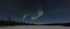 Image showing a clearing in a snowy forest at night. Above the tree line, the Northern Lights are glowing green.