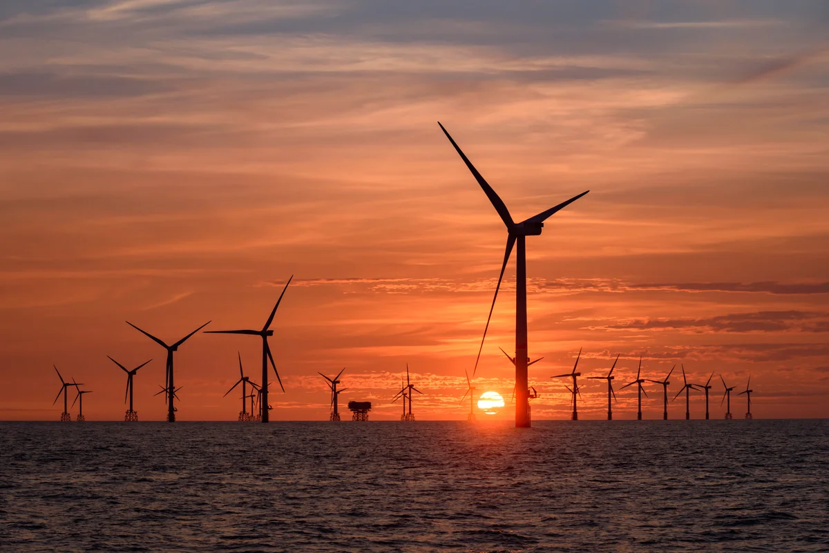 picture of windmills and a sunset