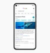 Image showing a mock-up of a Pixel phone with Google Search pulled up on the screen. The search results show answers about Humpback whales, including two images.