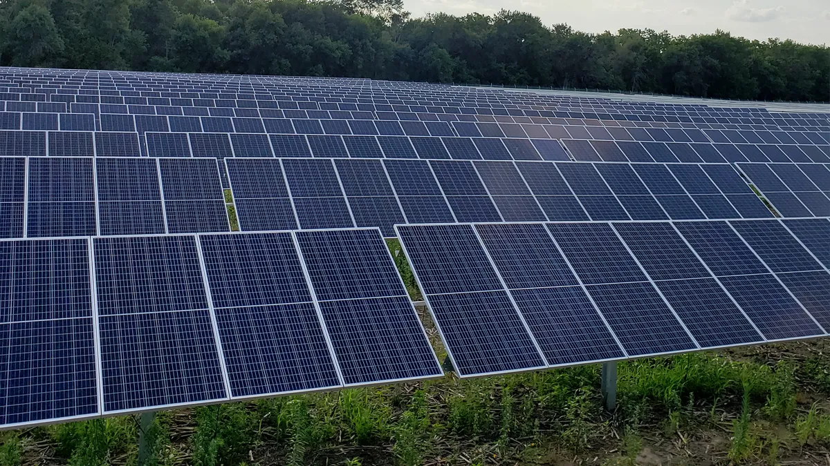 a picture of hundreds of solar panels in a field with a forest in the background