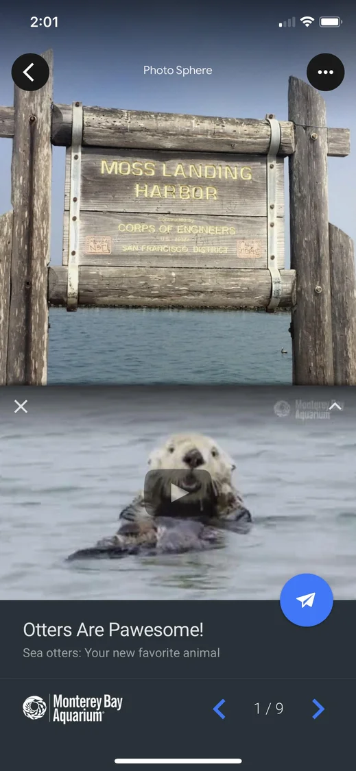 Otters in Google Earth