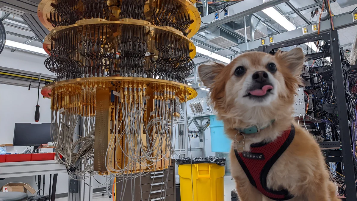 A small dog with light brown fur sticks out its tongue while standing in front of a quantum computer.