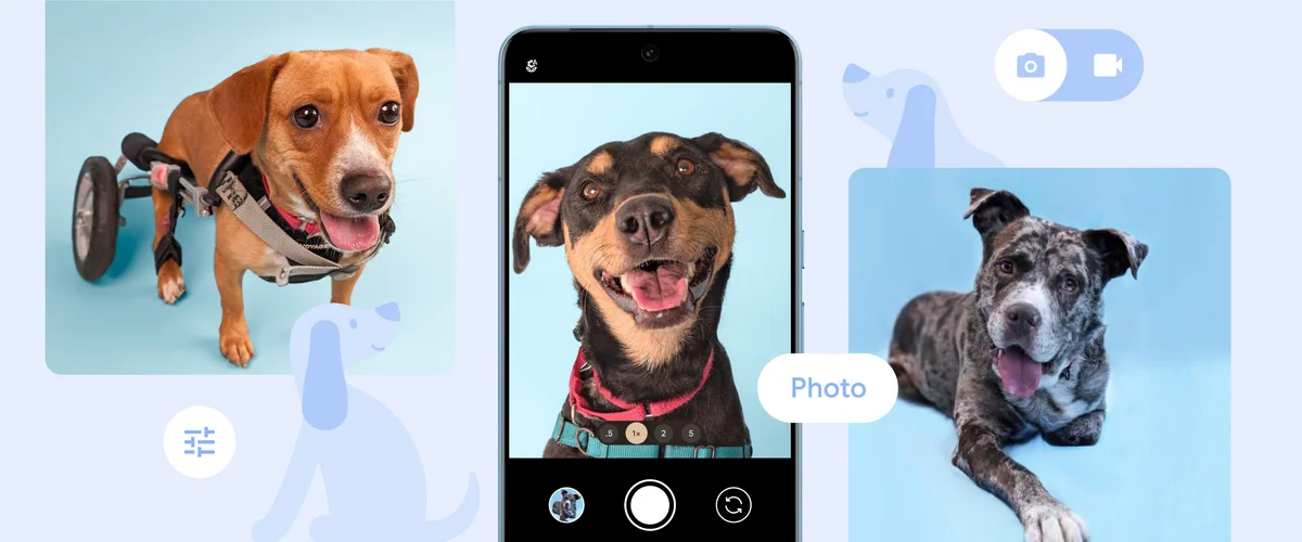 Google's Pixel Pawtraits brings Pixel photography to animal shelters