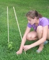 Liza Goldberg, teen scientist