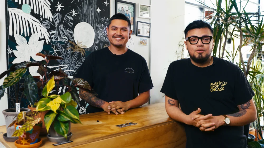 Plant Shop Chicago a Latino-owned business shares their Google journey.
