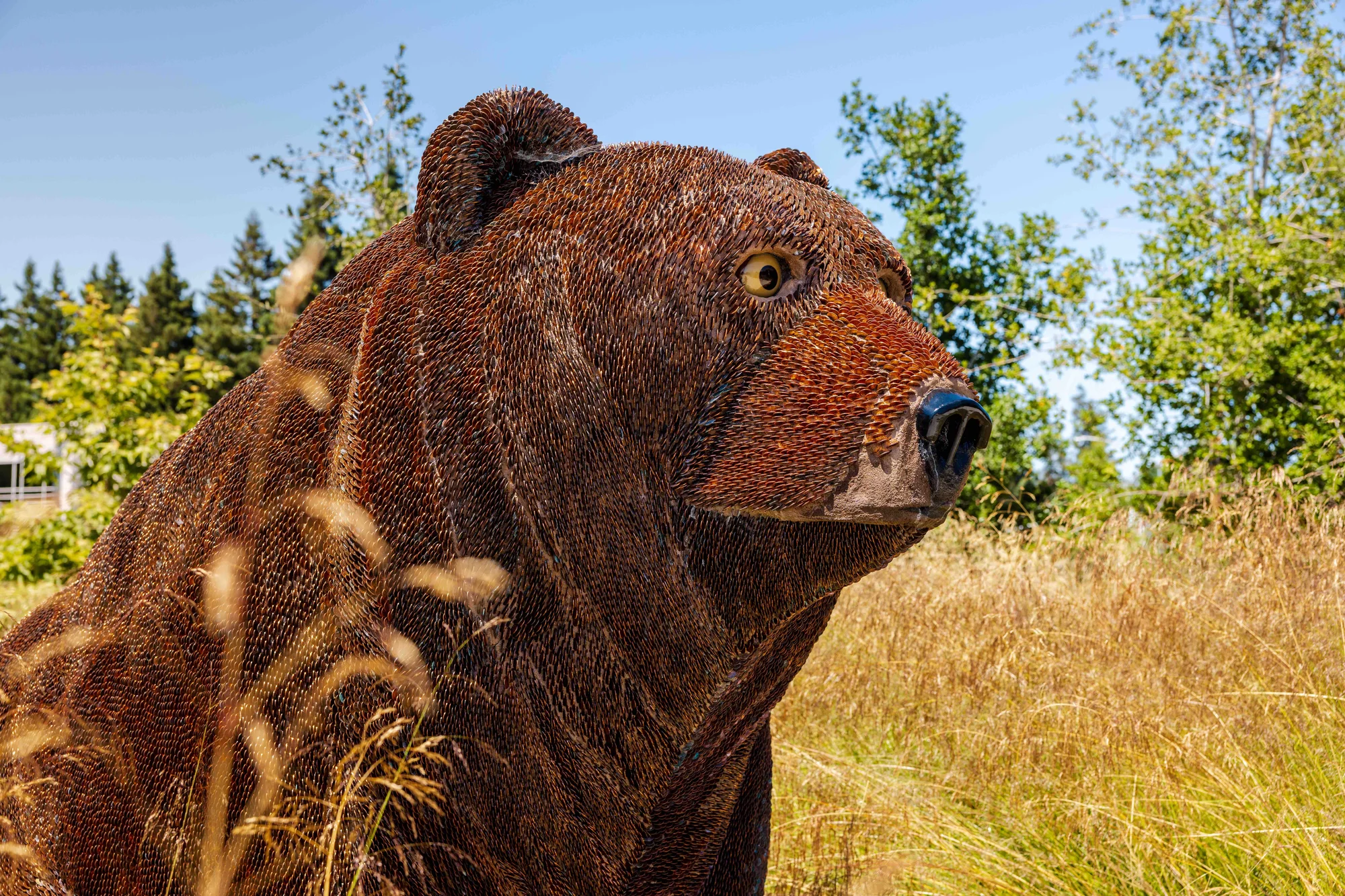 캘리포니아 그리즐리 곰을 표현한 작품 ‘Curious’의 이미지.