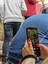 Mujer hace zoom de una planta con su teléfono móvil.