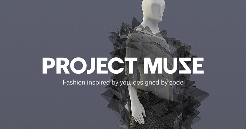Project Muze Hero