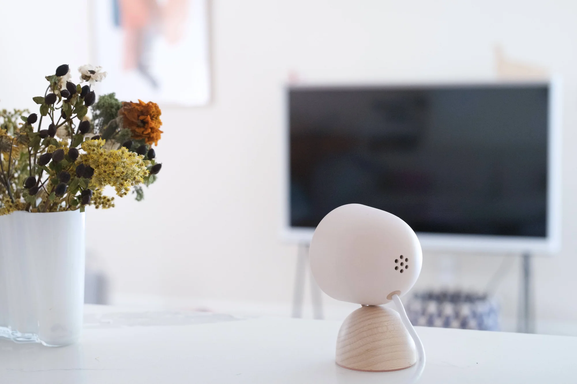 Nest Cam with wood base on a table next to a plant; there's a tv in the background.