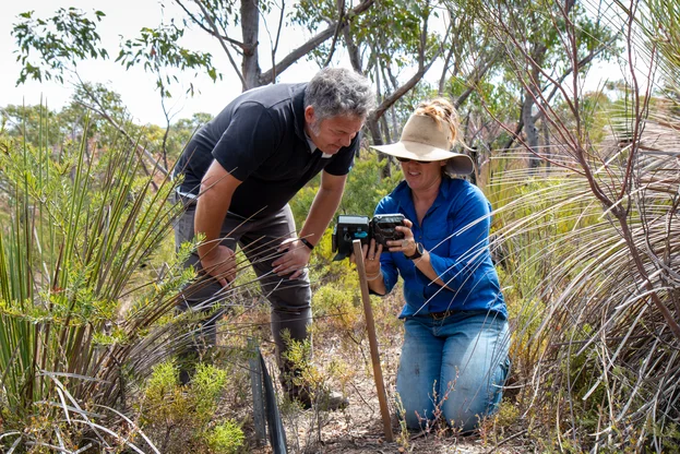 WWF camera traps