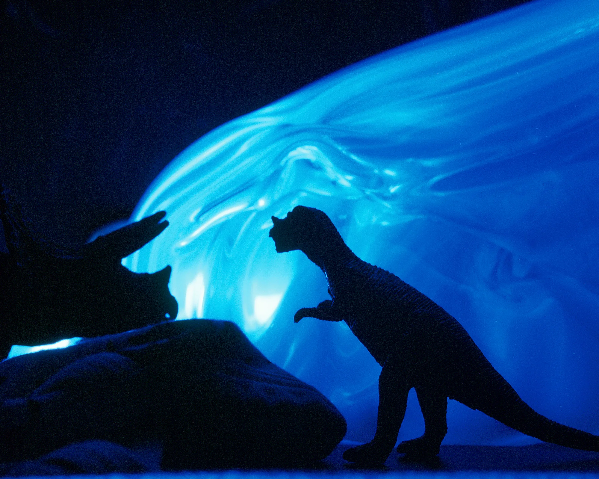 silhouettes of dinosaurs with a blue background