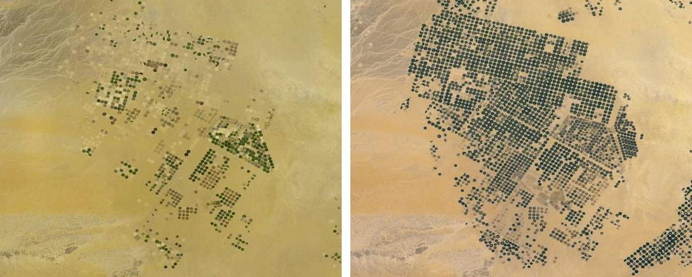 Saudi Arabia