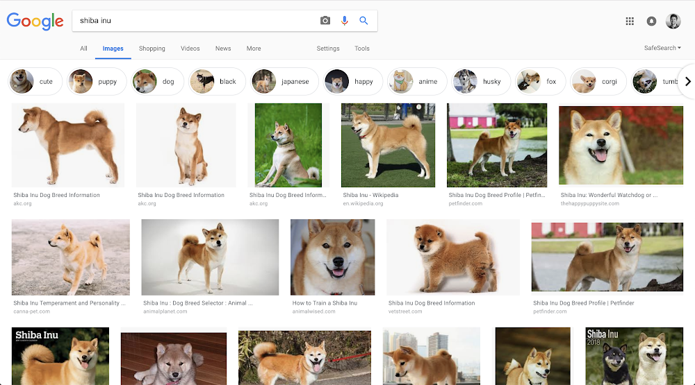 shibu search