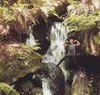 Reza posing in front of a waterfall.