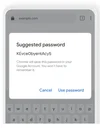 password suggestion prompt