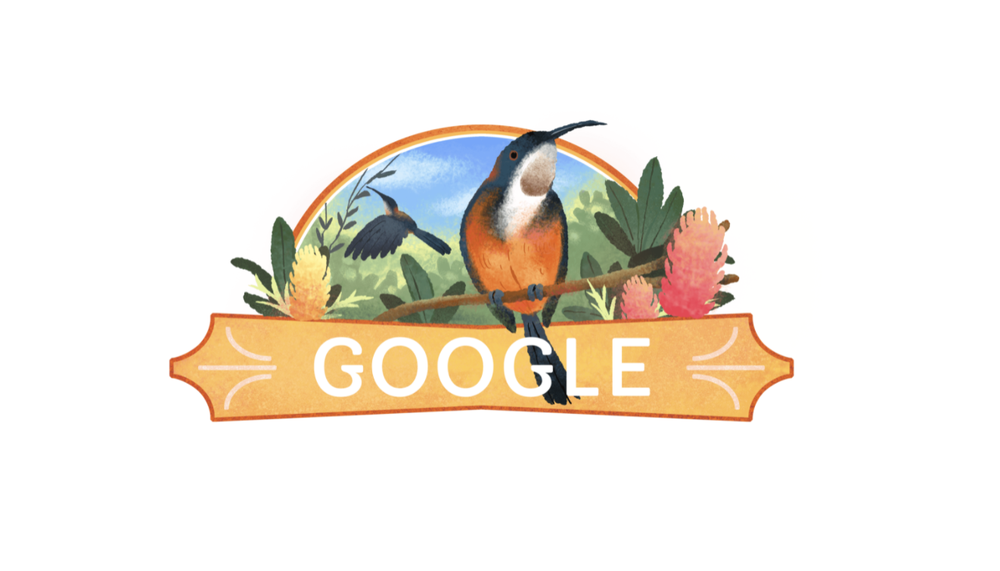 Illustrated graphic of a Google Doodle depicting an Eastern Spinebill bird and honeysuckle plants.