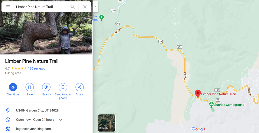 An image of a hiking trail added to Google Maps by Lydia