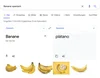 Ein Screenshot einer Google Suche nach der Übersetzung von Banane ins Spanische