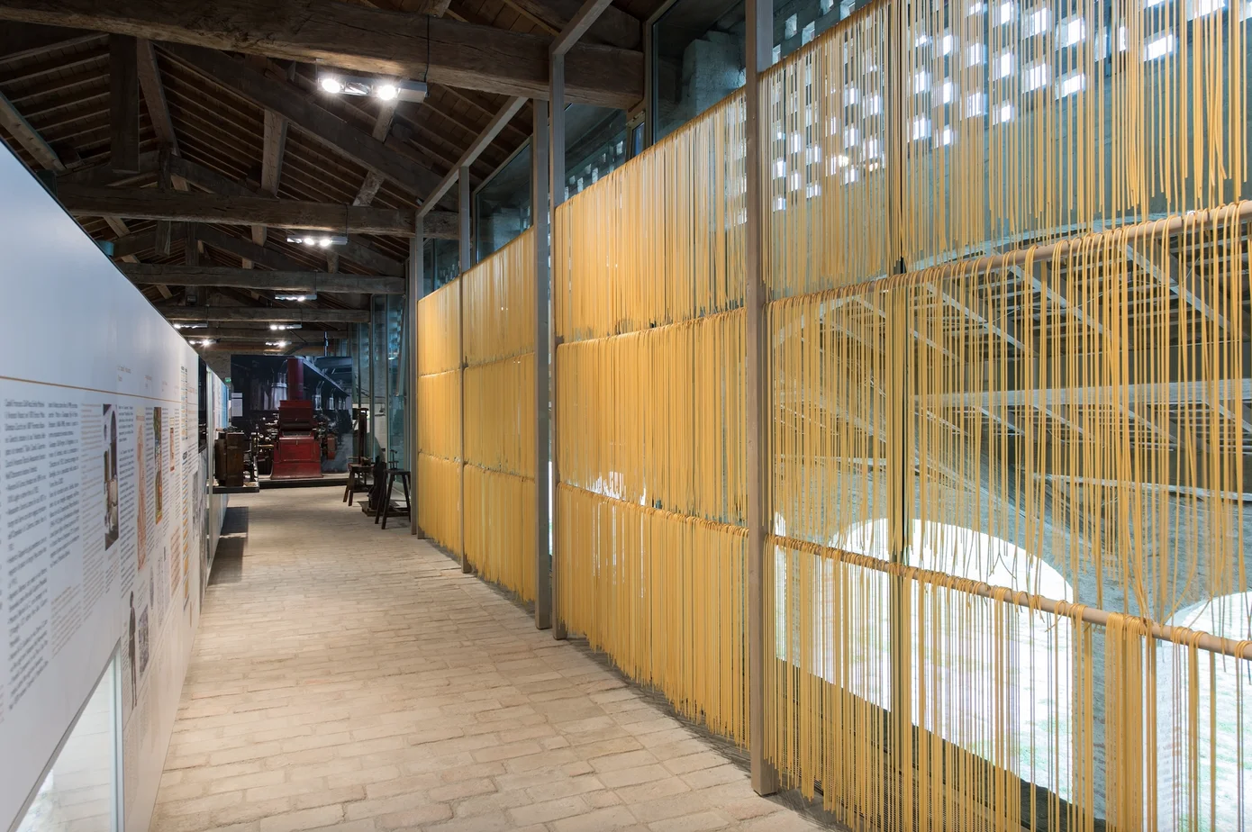 Fresh pasta gets dried by hanging on special racks. Here pictured a golden wall of drying spaghetti at the Pasta Museum.