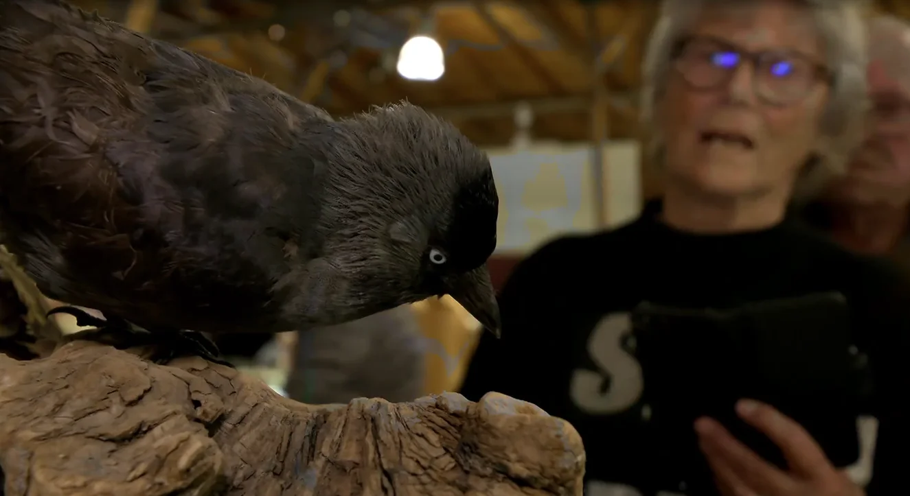 An older person stands next to a model of a bird.