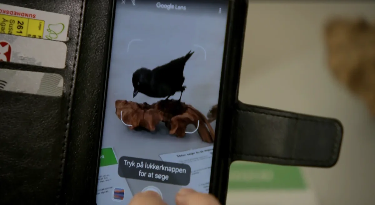 A smartphone showing a bird being searched on Lens.