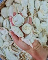 A photograph of a hand holding homemade dumplings.