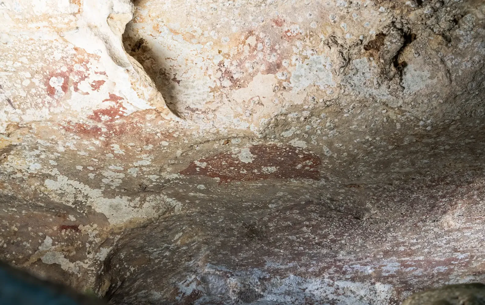 Photograph of red colored rock art that depicts small human figures, a wild pig and hand stencils