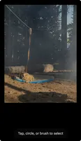 A photo of a dog sleeping on a bed outside in a campground. There are trees in the background, and a rope line hangs between two trees. The dog’s leash is attached at the center, and connects to him on the ground. At the bottom of the photo it reads “tap, circle, or brush to select.”