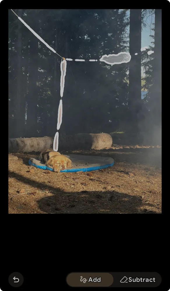 A photo of a dog sleeping on a bed outside in a campground. There are trees in the background, and a rope line hangs between two trees. The dog’s leash is attached at the center, and connects to him on the ground. The rope and leash are highlighted in white and there are two options below the photo to “add” or “subtract” from the highlighted portion.