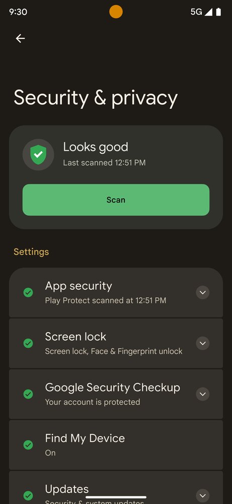 Image of new security and privacy settings on Pixel phone