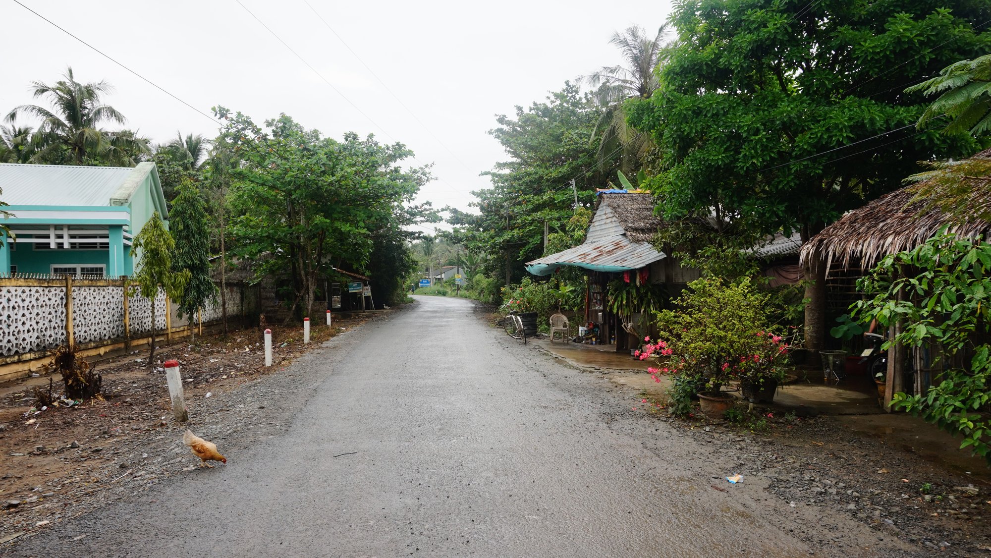 Drive from Ho Chi Minh City to Tra Vinh