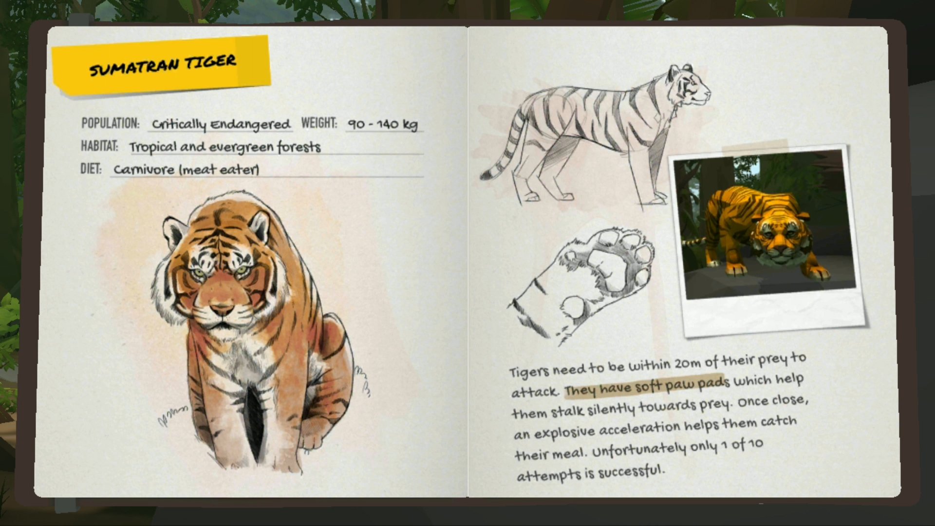 Into the Wild - Sumatran tiger card