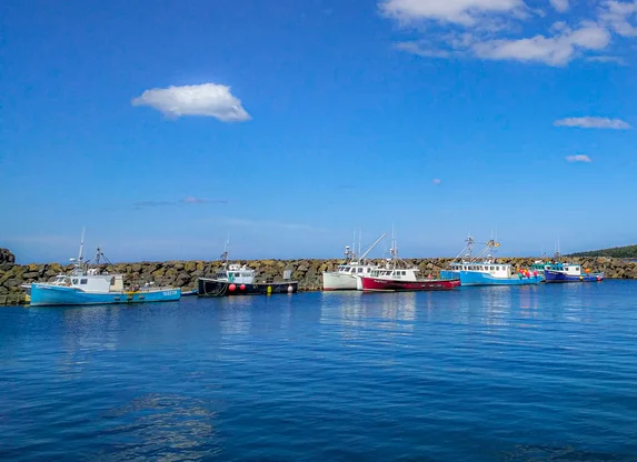 Tiverton Fishing Boats_Oceans North