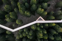 An aerial picture of trees in a forest with a bridge walkway cutting through