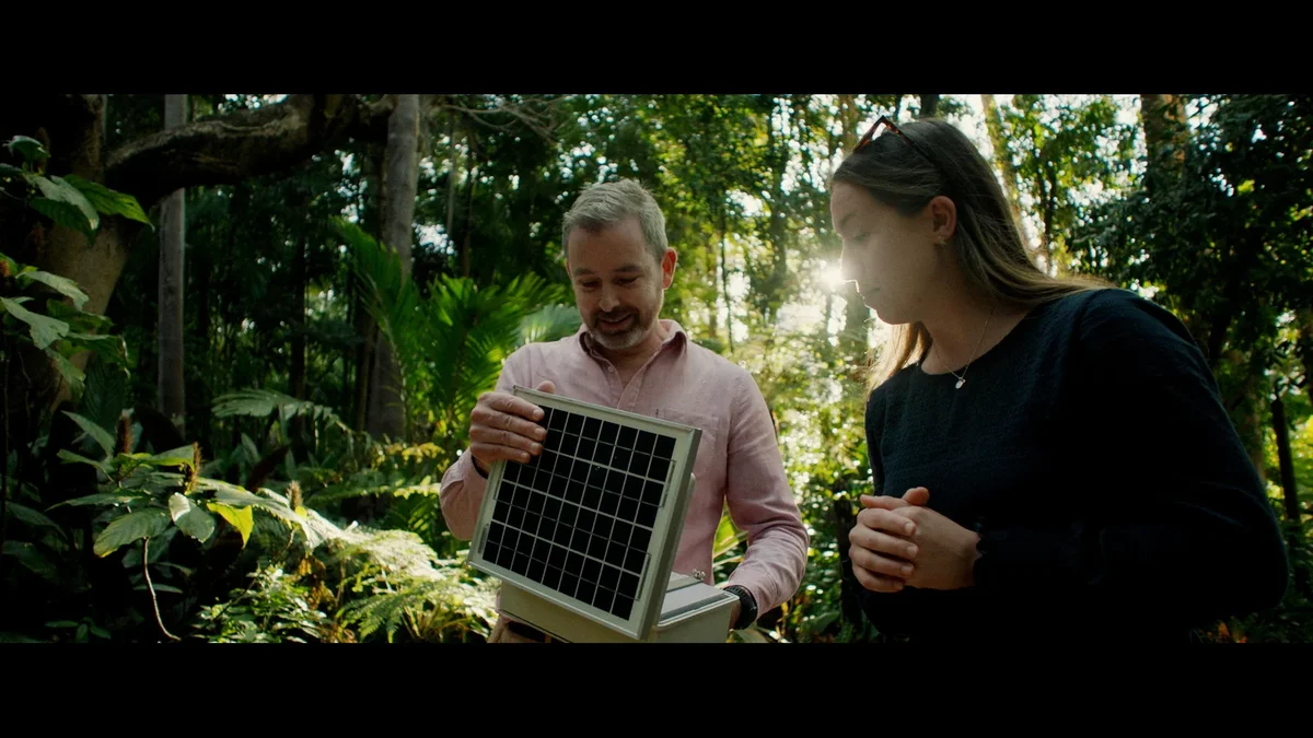 An image of Professor Paul Roe and Dr Daniella Teixeira collecting audio data in a rainforest