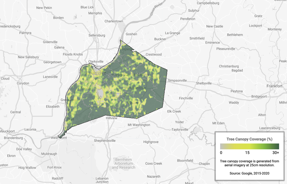 An image showing tree canopy coverage in Louisville