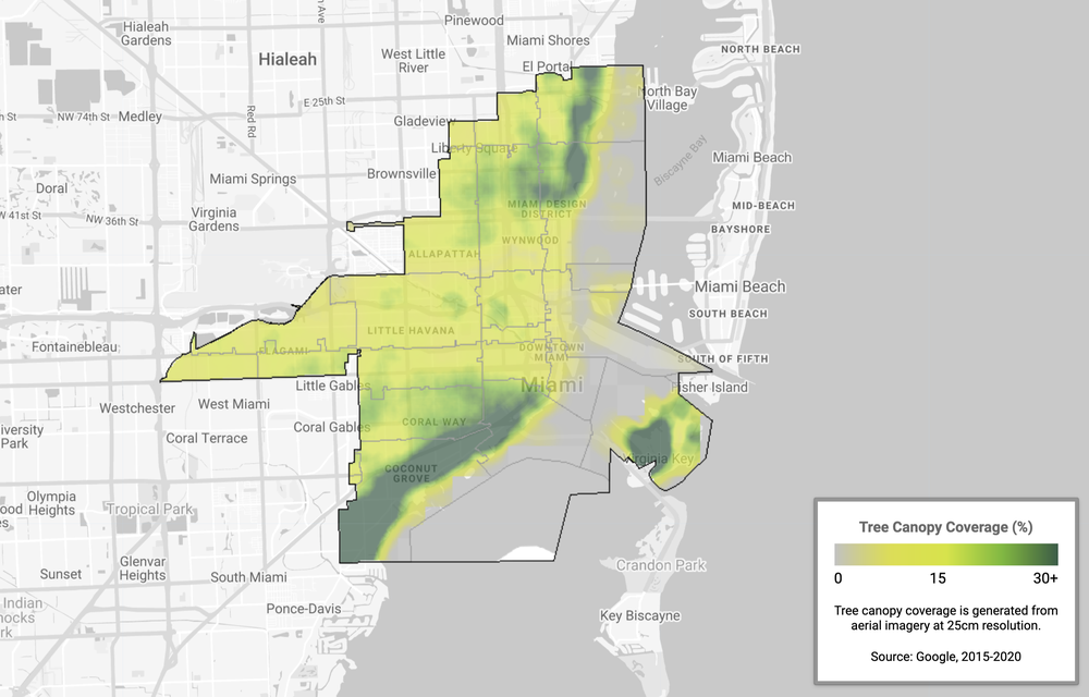 An image showing tree canopy coverage in Miami