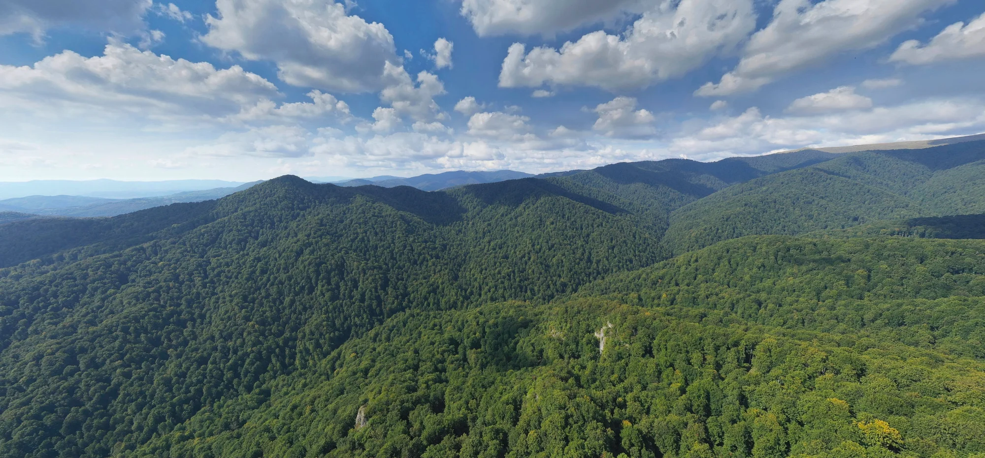 Photograph showing Uzhanskyi National Nature Park, a vast green landscape with dense tree coverage and blue skies.