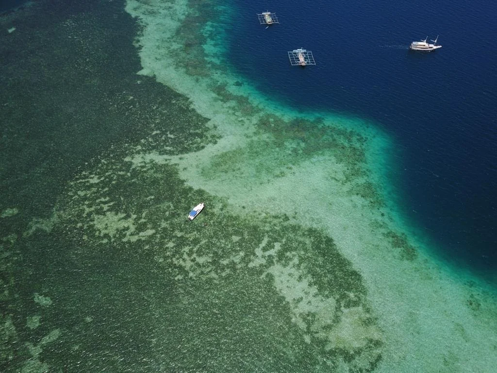 An aerial view of seagrass meadows and a boat in Indonesia