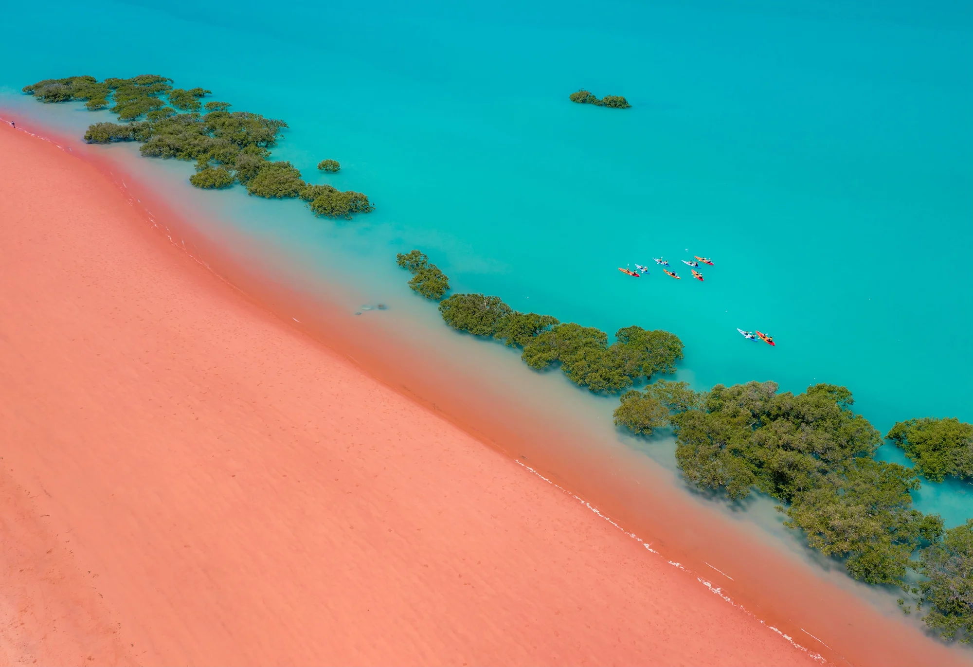 A group of kayakers paddling along the shores of Roebuck Bay / Djugun Yawuru Country with several mangrove trees around