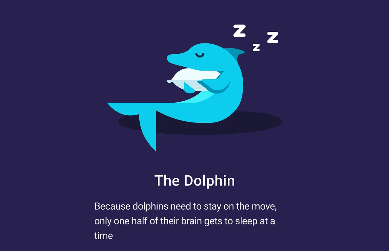 An illustration of a cartoon sleeping dolphin holding a pillow. Under it, it reads: “The dolphin. Because dolphins need to stay on the move, only one half of their brain gets to sleep at a time.”