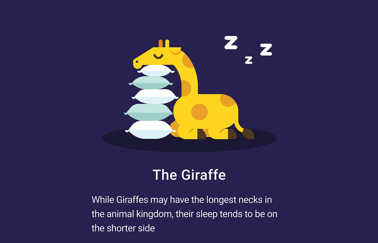 An illustration of a cartoon sleeping giraffe resting its head on a stack of pillows. Under it, it reads: “The giraffe. While giraffes may have the longest necks in the animal kingdom, their sleep tends to be on the shorter side.”