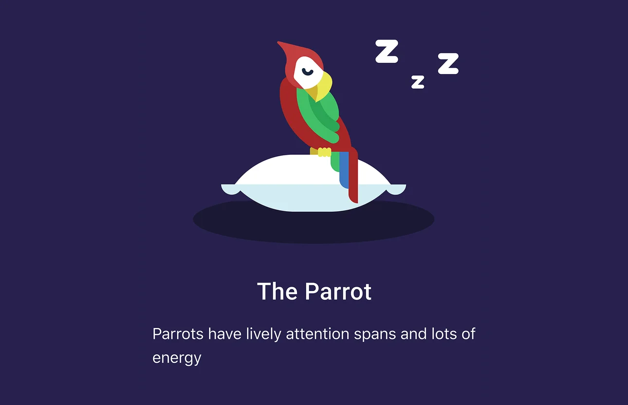 An illustration of a cartoon sleeping parrot resting on a pillow. Under it, it reads: “The parrot. Parrots have lively attention spans and lots of energy.”