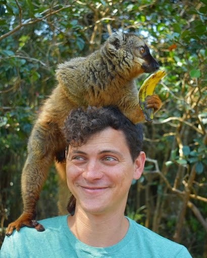 Matt smiles, wearing a light blue t-shirt and looking into the distance. A lemur is perched on his head, holding a piece of fruit and, looking in the opposite direction.