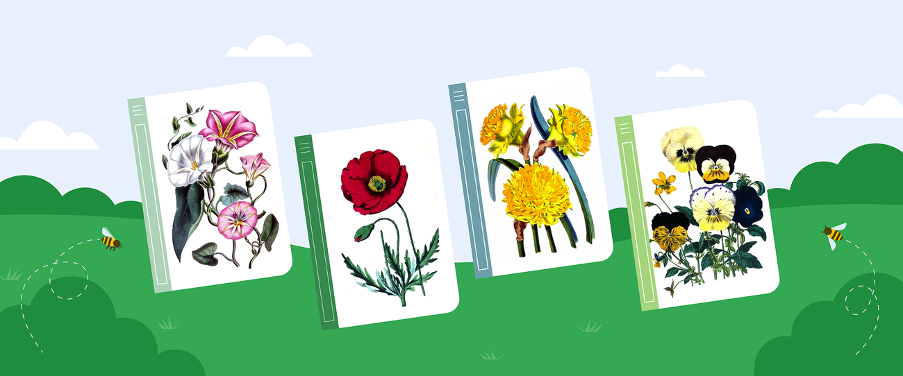 Celebrate spring with floral illustrations on Google Books