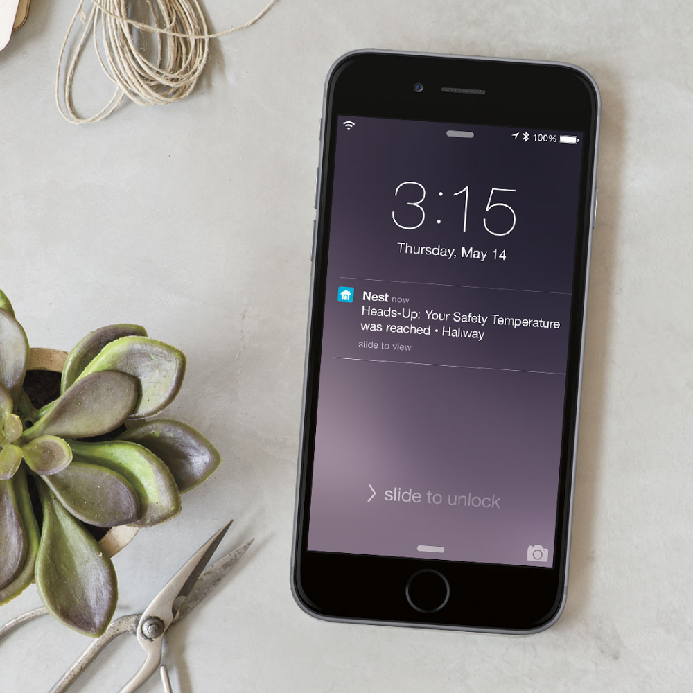 nest secure notifications
