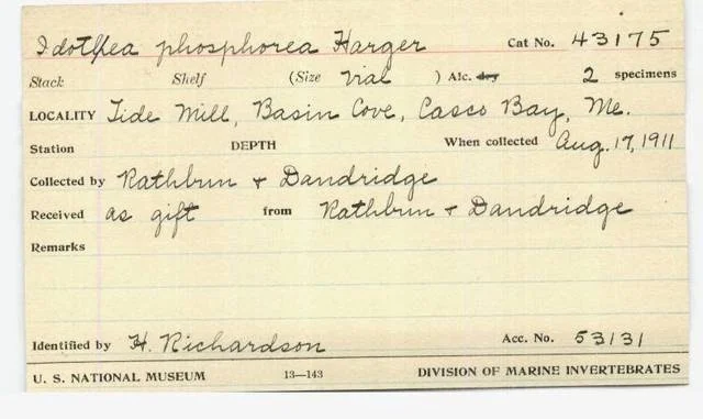 image of an early taxonomy card